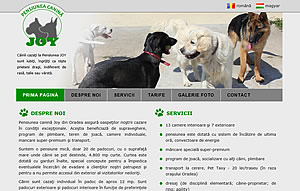 pensiuneacaninajoy.ro